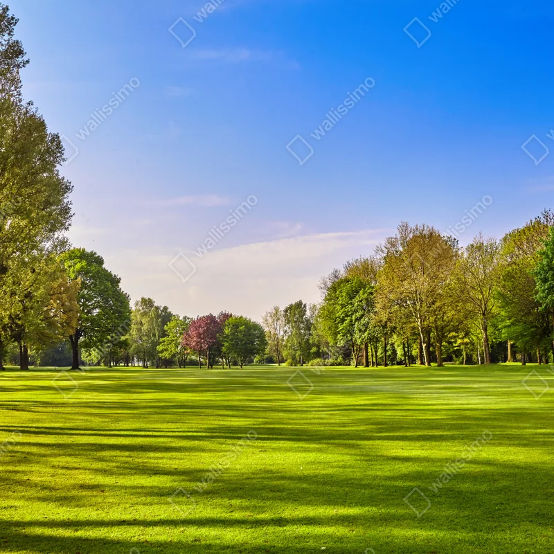 Fototapete sonnige panoramaaufnahme eines stadtparks Fototapete sonnige panoramaaufnahme eines stadtparks