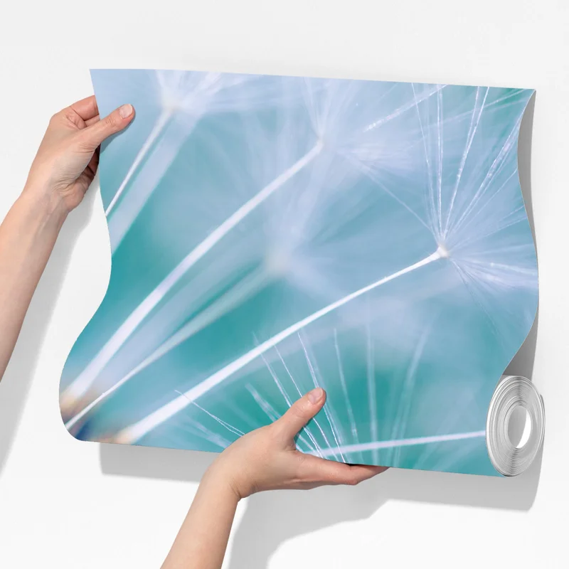 Fototapete türkisfarbener löwenzahn nahaufnahme Fototapete türkisfarbener löwenzahn nahaufnahme