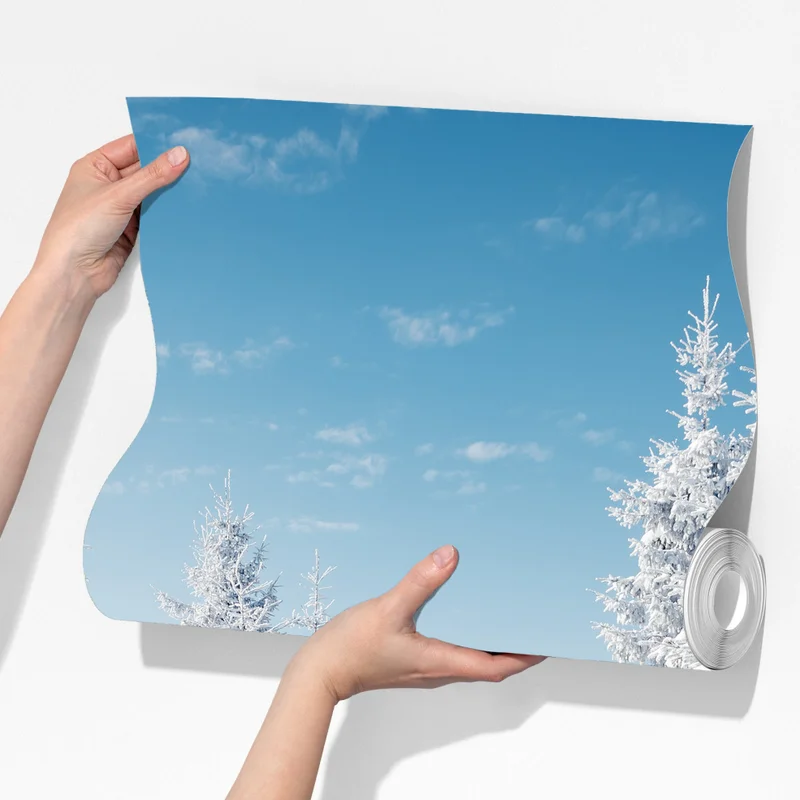 Fototapete winterruhe in den Karpaten Fototapete winterruhe in den Karpaten