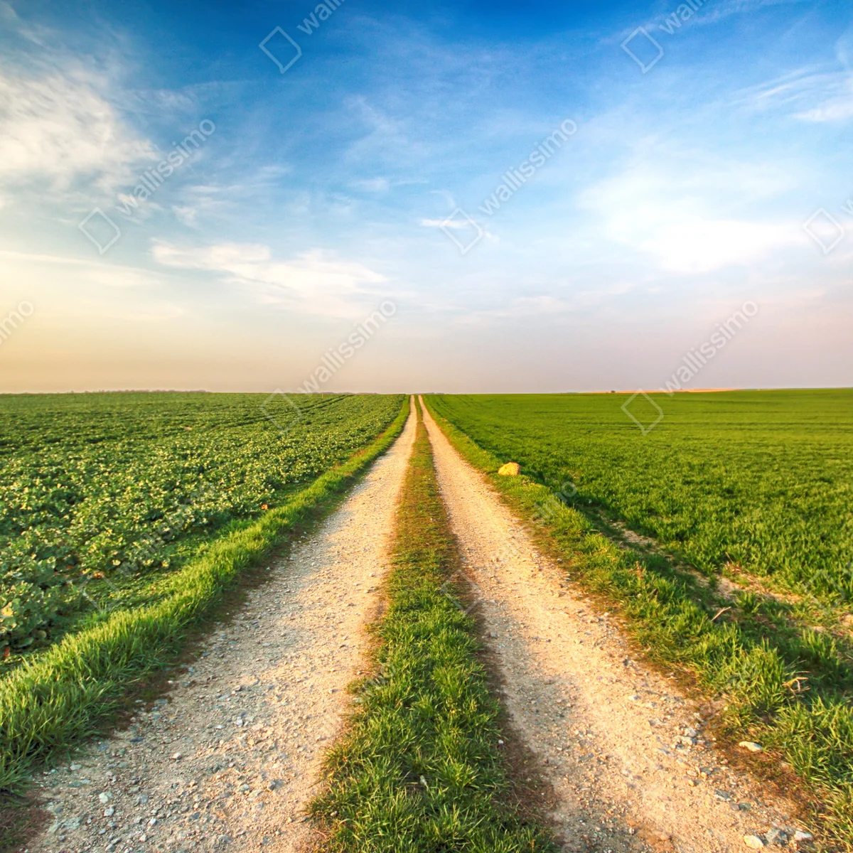 Tischaufkleber und Schreibtischaufkleber feldweg durch grüne felder Tischaufkleber und Schreibtischaufkleber feldweg durch grüne felder
