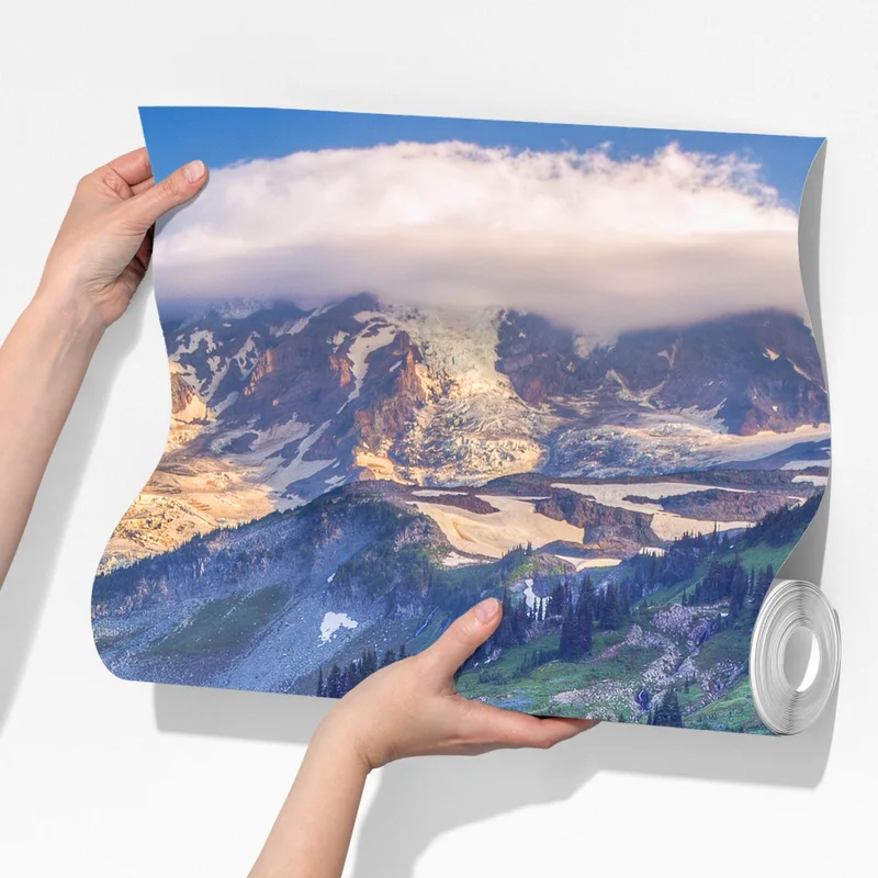 Fototapete alpine blumenwiese vor schneebedeckten bergen Fototapete alpine blumenwiese vor schneebedeckten bergen