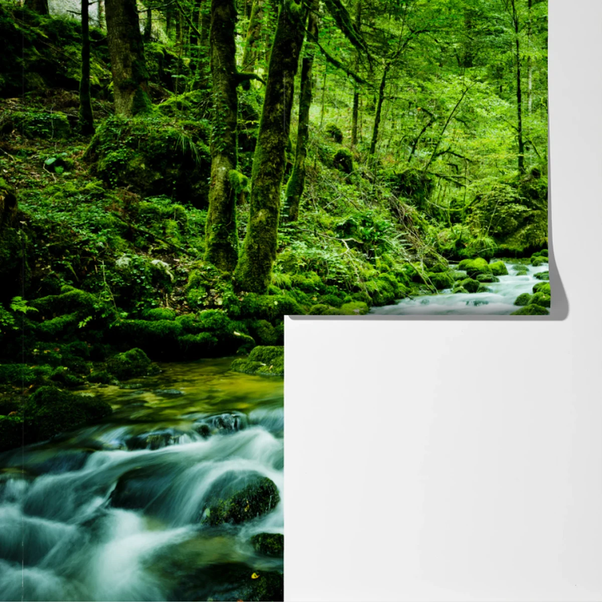 Fototapete moosbedeckter waldbach Fototapete moosbedeckter waldbach