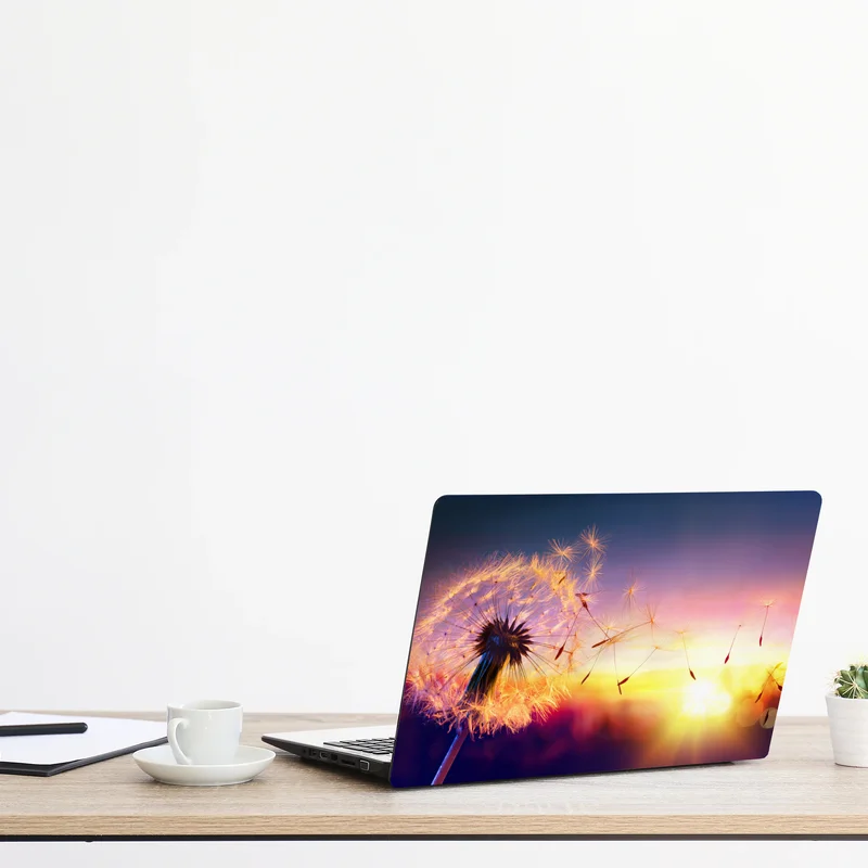 Naklejka na laptopa złoty mniszek przy zachodzie słońca