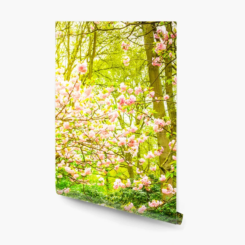 Fototapete frühlingsgarten in blüte: tulpen und kirschblüten Fototapete frühlingsgarten in blüte: tulpen und kirschblüten