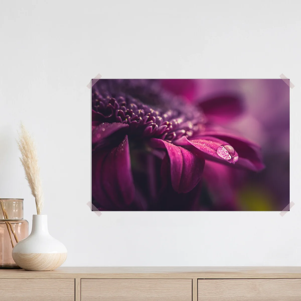 Poster lila makroblüte mit tautropfen Poster lila makroblüte mit tautropfen