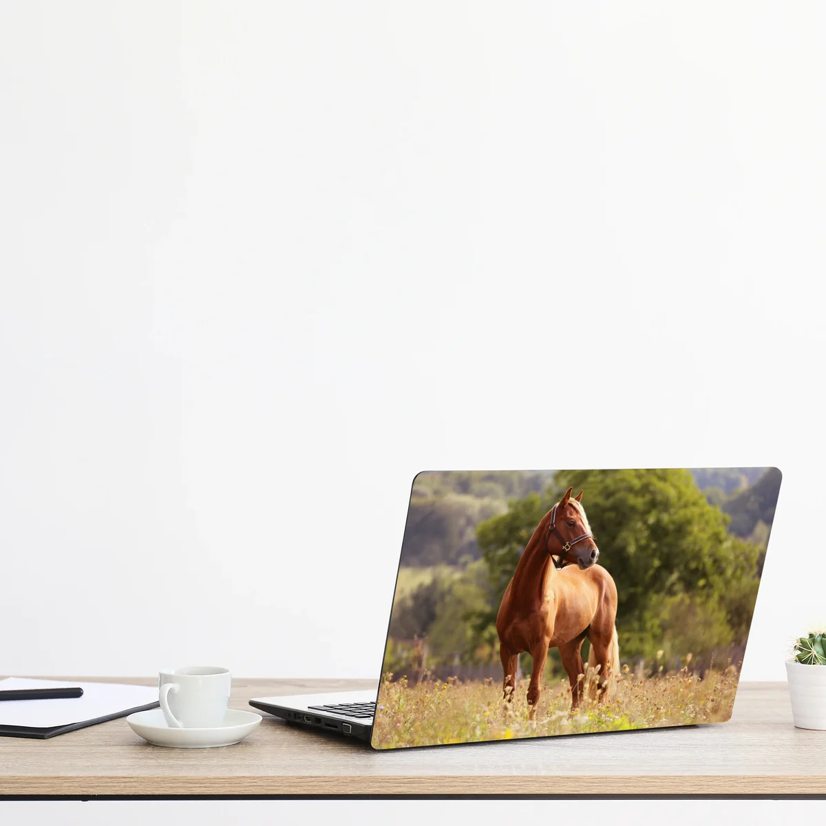 Laptop-Aufkleber majestätisches kastanienbraunes pferd auf sommerlicher wiese Laptop-Aufkleber majestätisches kastanienbraunes pferd auf sommerlicher wiese