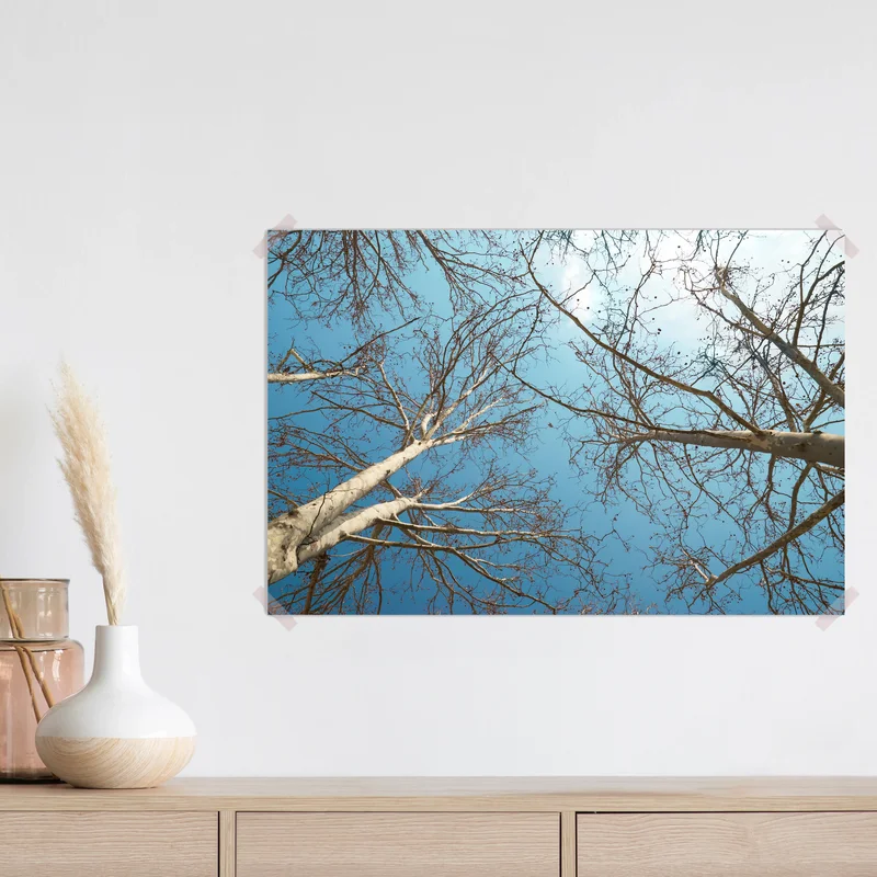 Poster Frühlingsbaumkronen • Poster bei Wallnifity® Poster Frühlingsbaumkronen • Poster bei Wallnifity®