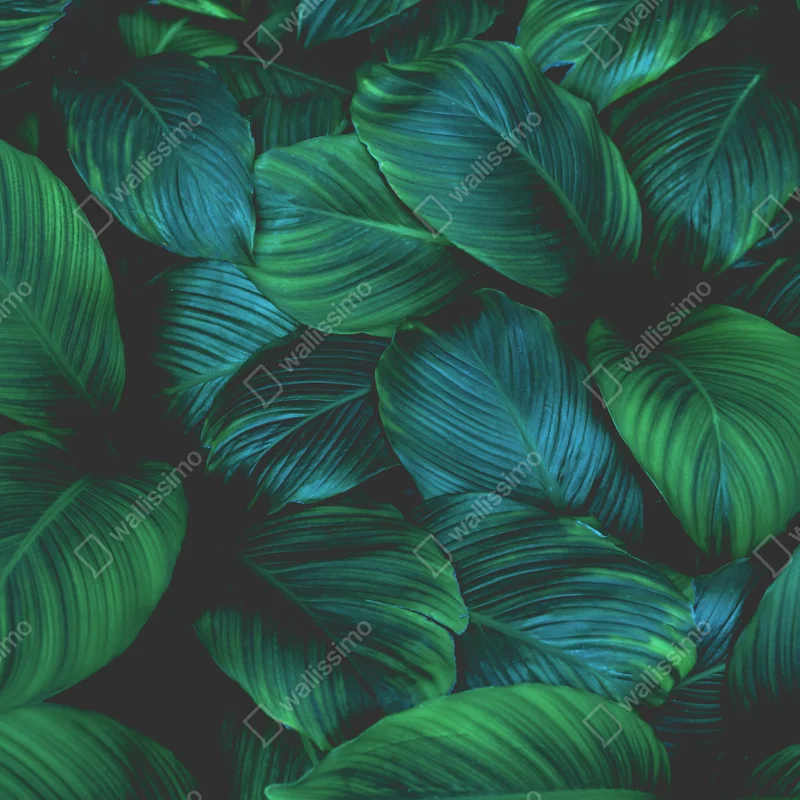 Repositionierbarer Aufkleber üppige tropische blätter Repositionierbarer Aufkleber üppige tropische blätter