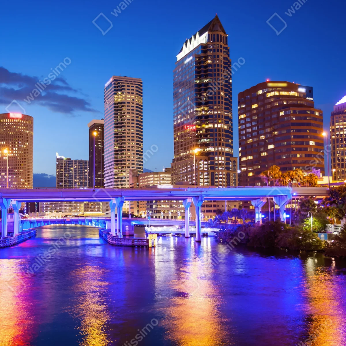 Fensteraufkleber Tampa skyline bei nacht Fensteraufkleber Tampa skyline bei nacht