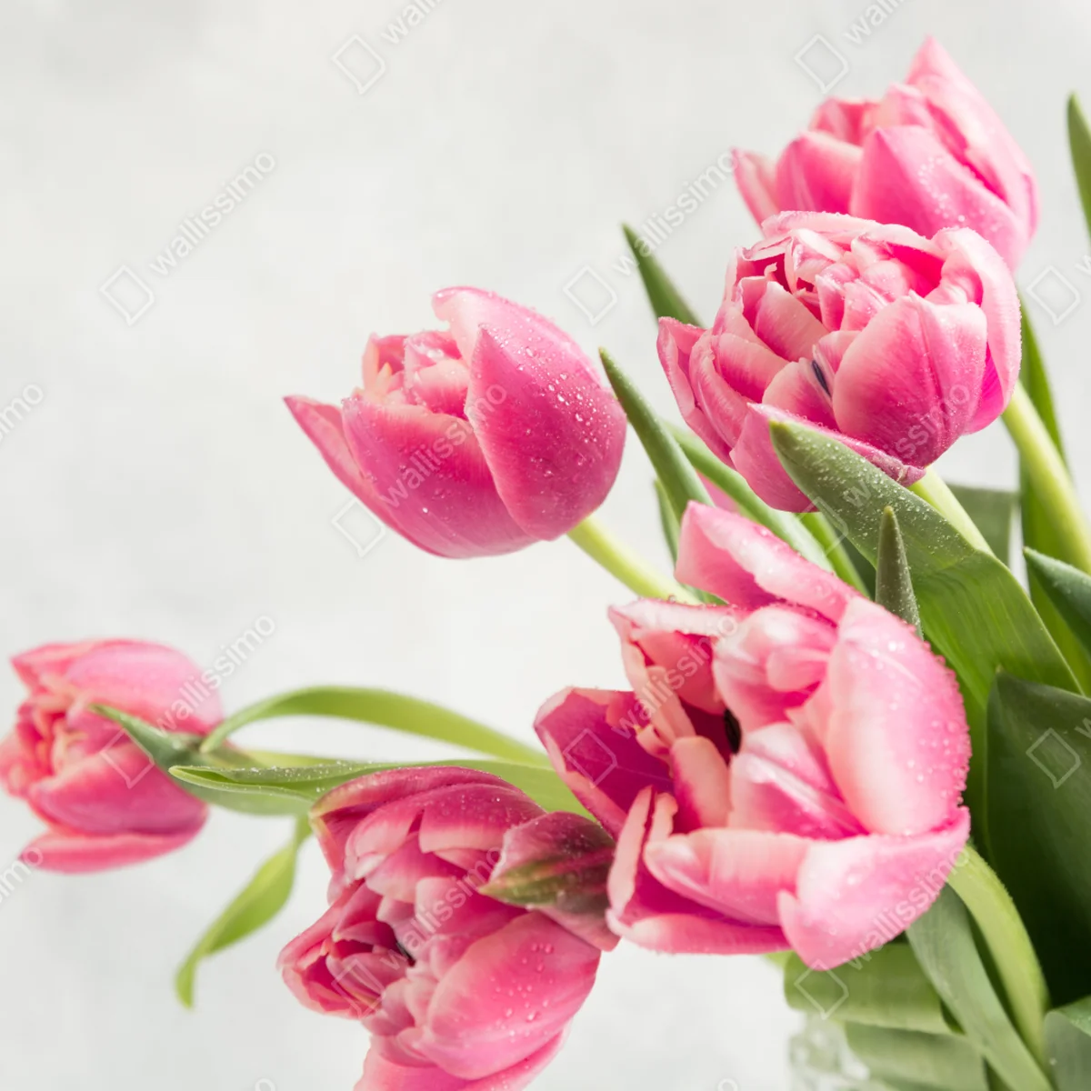 Türaufkleber eleganter strauß rosa tulpen Türaufkleber eleganter strauß rosa tulpen