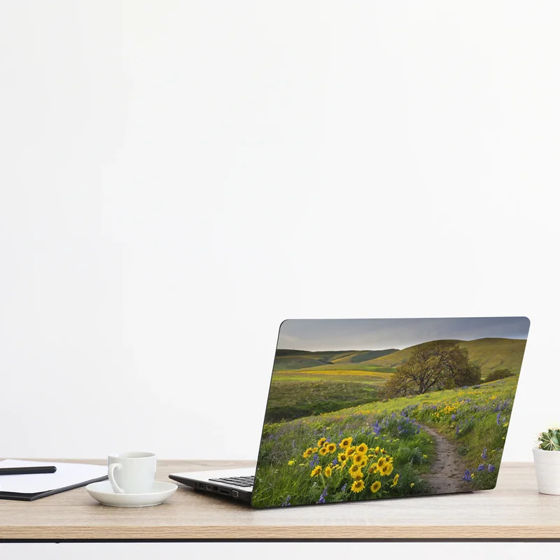 Naklejka na laptopa ścieżka przez złotą łąkę z dzikimi kwiatami