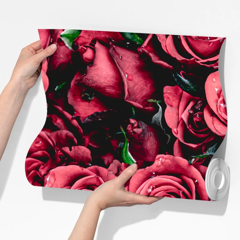 Fototapete pralle rote rosen wandbild Fototapete pralle rote rosen wandbild