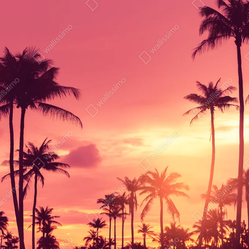 Türaufkleber rosa tropischer sonnenuntergang mit palmen Türaufkleber rosa tropischer sonnenuntergang mit palmen