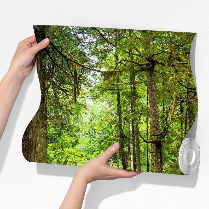 Fototapeta spokojna leśna kładka Fototapeta spokojna leśna kładka