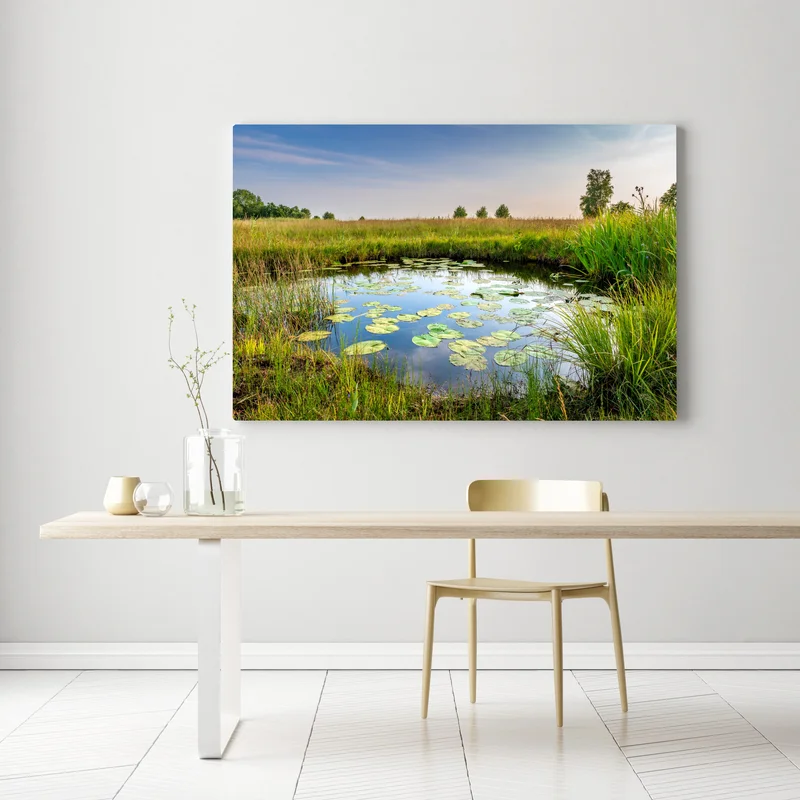 Leinwandbild ruhiger seerosen-teich in der wiese Leinwandbild ruhiger seerosen-teich in der wiese