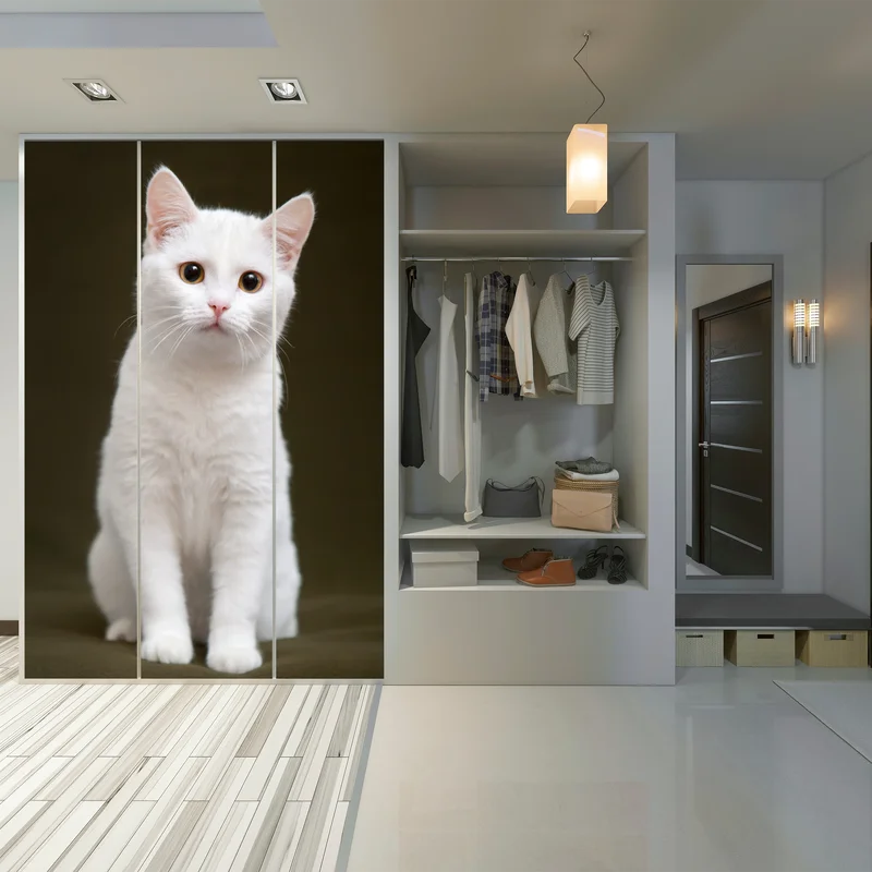 Schrankaufkleber niedliches porträt einer weißen katze