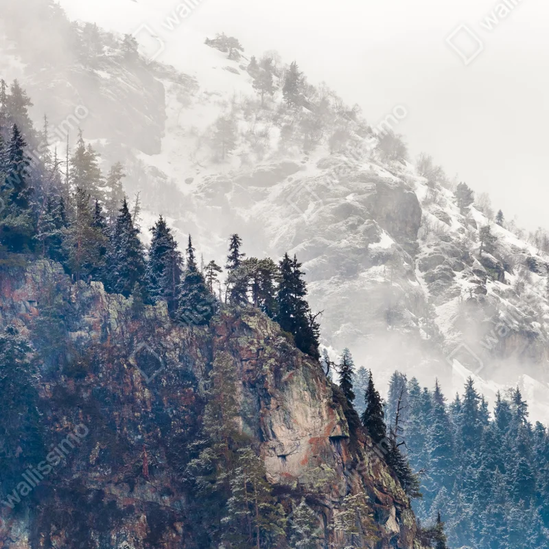 Leinwandbild nebliger berg mit felsklippe und kieferwald Leinwandbild nebliger berg mit felsklippe und kieferwald