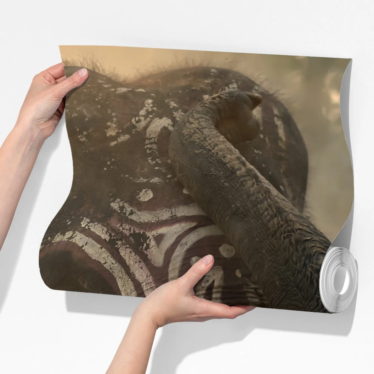 Fototapete majestätischer Thai-elefant mit stoßzähnen Fototapete majestätischer Thai-elefant mit stoßzähnen