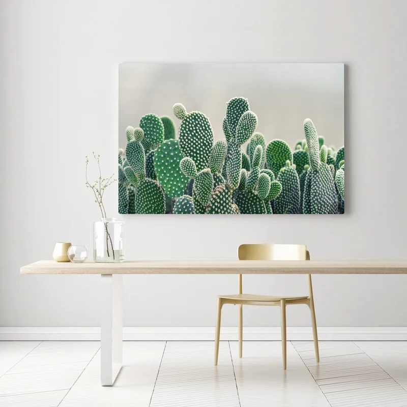 Leinwandbild nahaufnahme eines opuntienkaktus Leinwandbild nahaufnahme eines opuntienkaktus