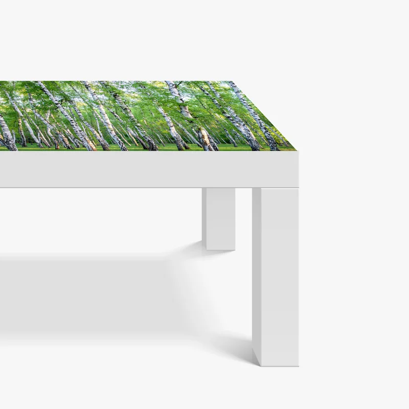 Tischaufkleber und Schreibtischaufkleber ruhiger birkenhain im sommer