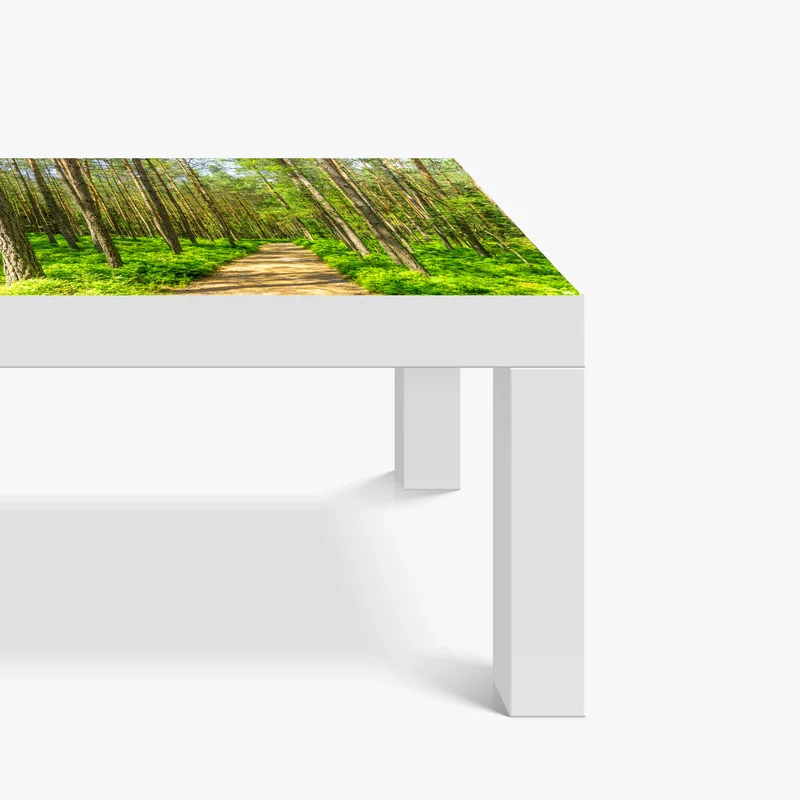 Tischaufkleber und Schreibtischaufkleber sonniger waldweg zwischen kiefern