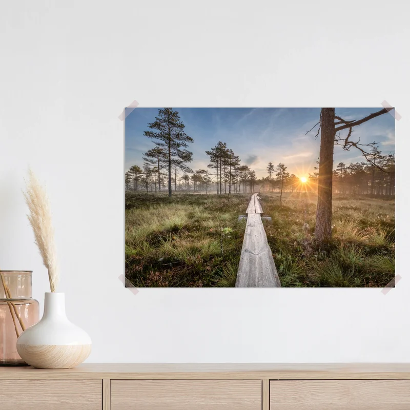 Poster sonnenaufgang über nebligem kiefernmoor • Poster bei Wallnifity® Poster sonnenaufgang über nebligem kiefernmoor • Poster bei Wallnifity®