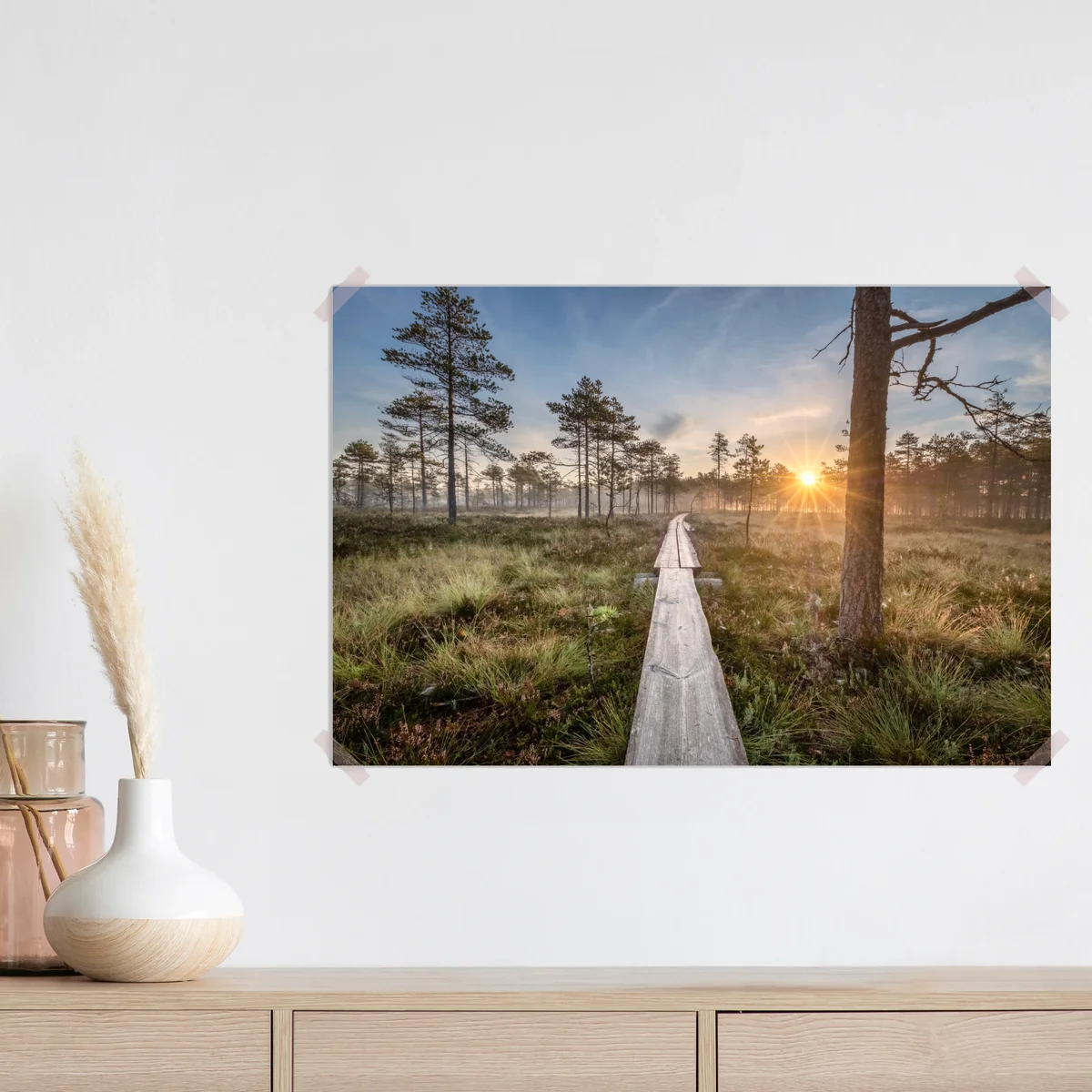 Poster sonnenaufgang über nebligem kiefernmoor • Poster bei Wallnifity® Poster sonnenaufgang über nebligem kiefernmoor • Poster bei Wallnifity®