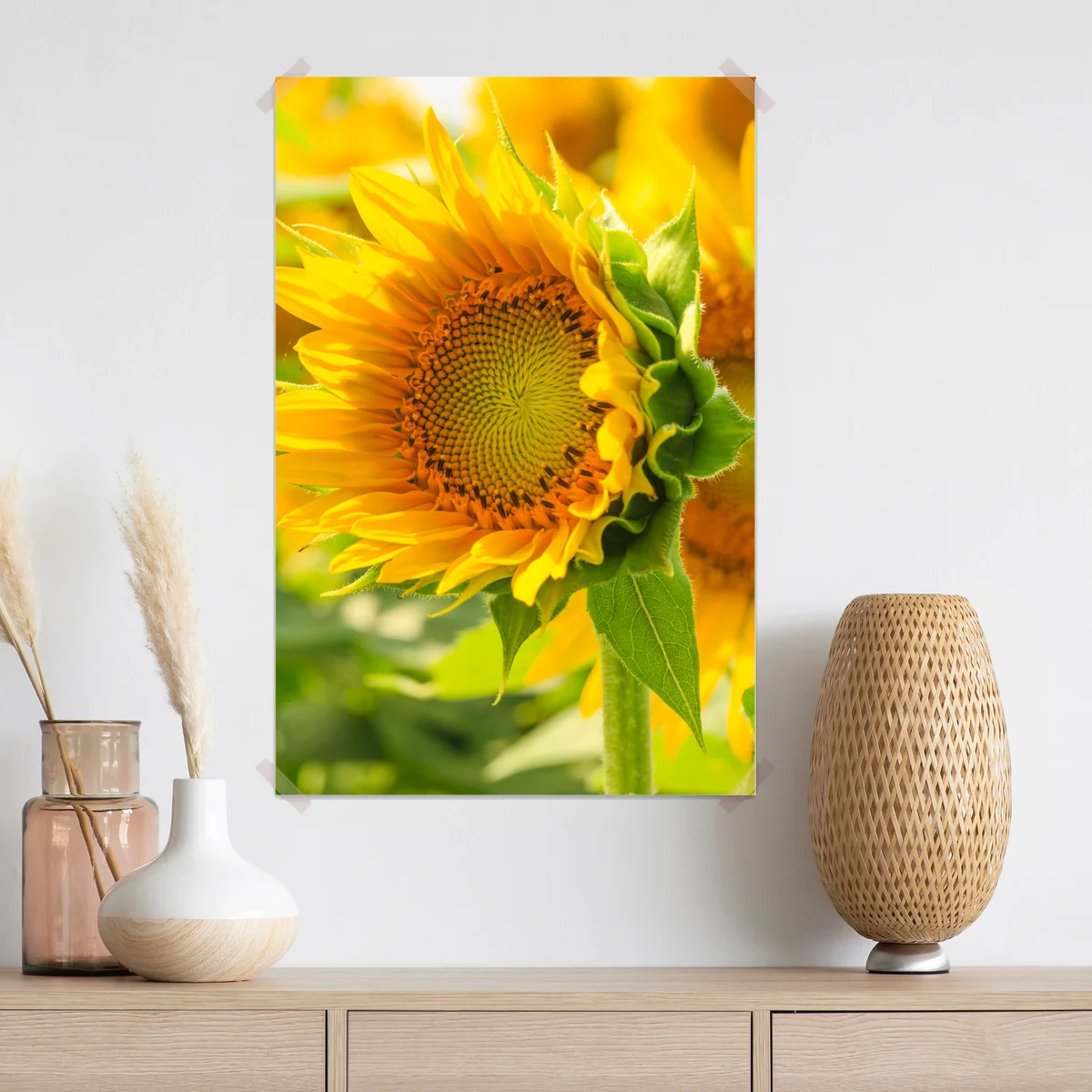 Poster sonnenblume nahaufnahme Poster sonnenblume nahaufnahme