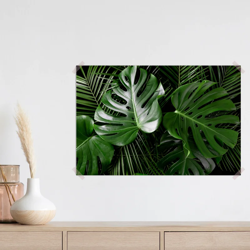 Poster üppige monstera-blätter Poster üppige monstera-blätter