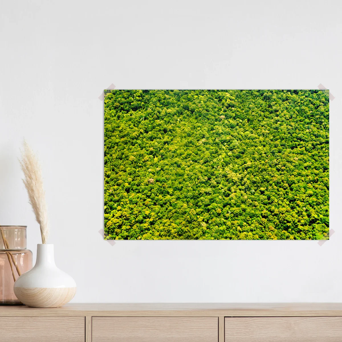 Poster Bäume von oben Ansicht Textur • Poster bei Wallnifity® Poster Bäume von oben Ansicht Textur • Poster bei Wallnifity®