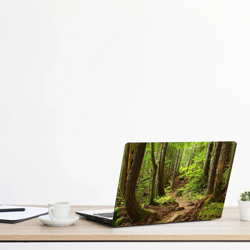 Naklejka na laptopa mchowa leśna ścieżka