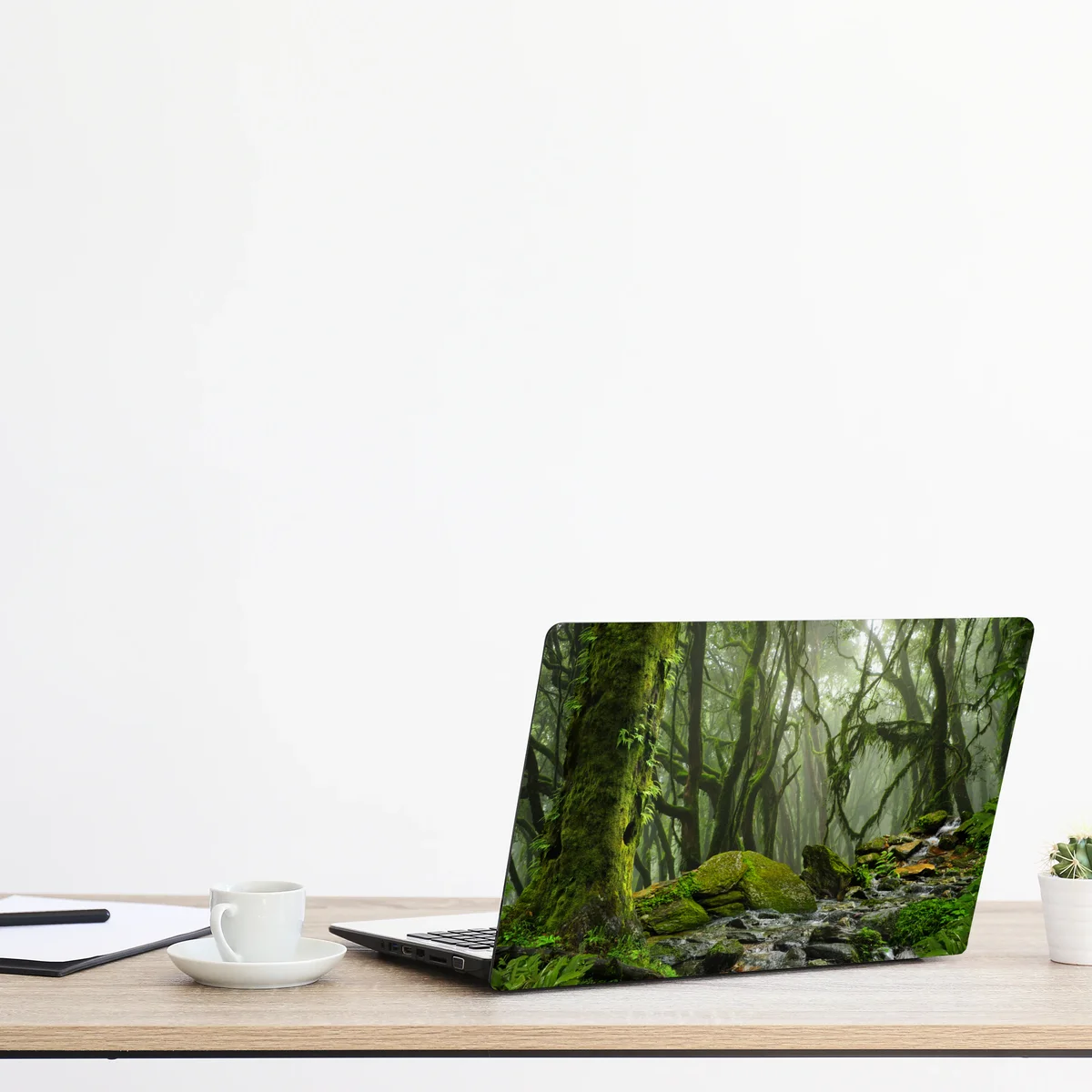 Laptop-Aufkleber moosiger wald mit bach im nebel Laptop-Aufkleber moosiger wald mit bach im nebel