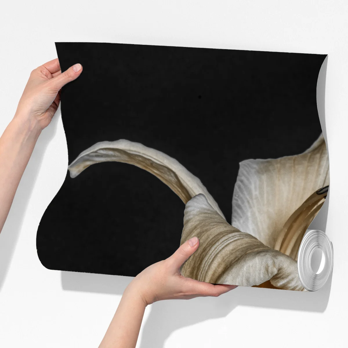 Fototapete dramatische rote und cremefarbene lilien auf schwarzem hintergrund Fototapete dramatische rote und cremefarbene lilien auf schwarzem hintergrund