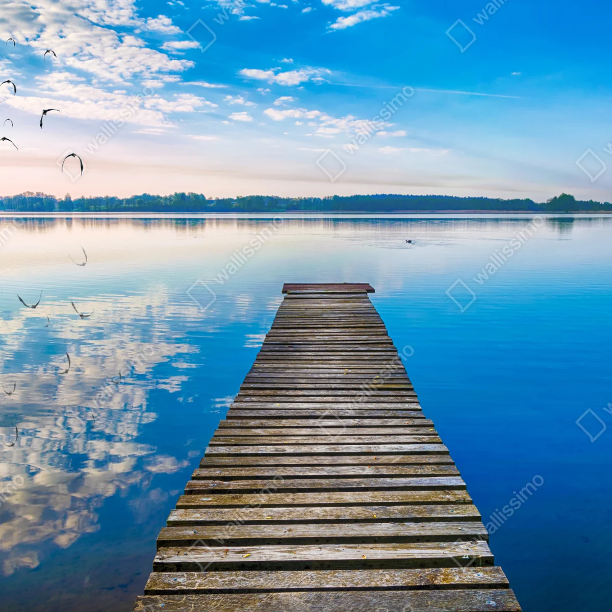 Poster ruhiger steg am See Selment Wielki, Masuren Poster ruhiger steg am See Selment Wielki, Masuren