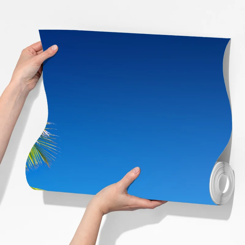 Fototapeta tropikalna palma na turkusowej plaży Fototapeta tropikalna palma na turkusowej plaży