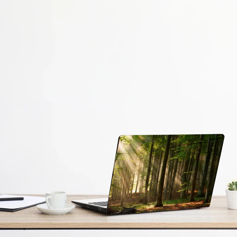 Laptop-Aufkleber morgendliches licht im buchenwald Laptop-Aufkleber morgendliches licht im buchenwald