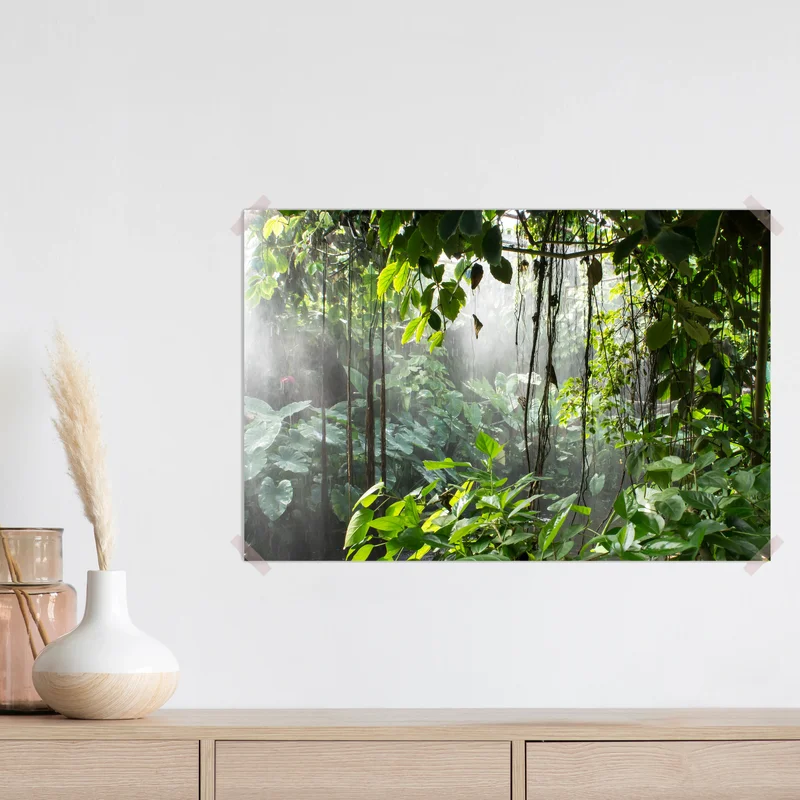 Poster Regenwald • Poster bei Wallnifity® Poster Regenwald • Poster bei Wallnifity®