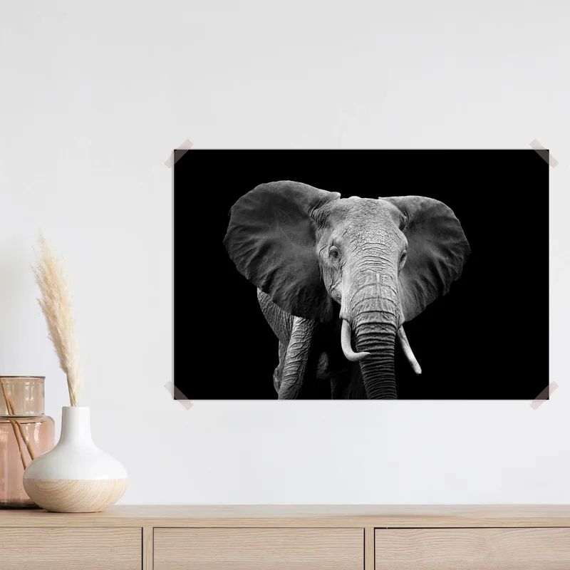 Poster majestätisches elefantenporträt in monochrom Poster majestätisches elefantenporträt in monochrom