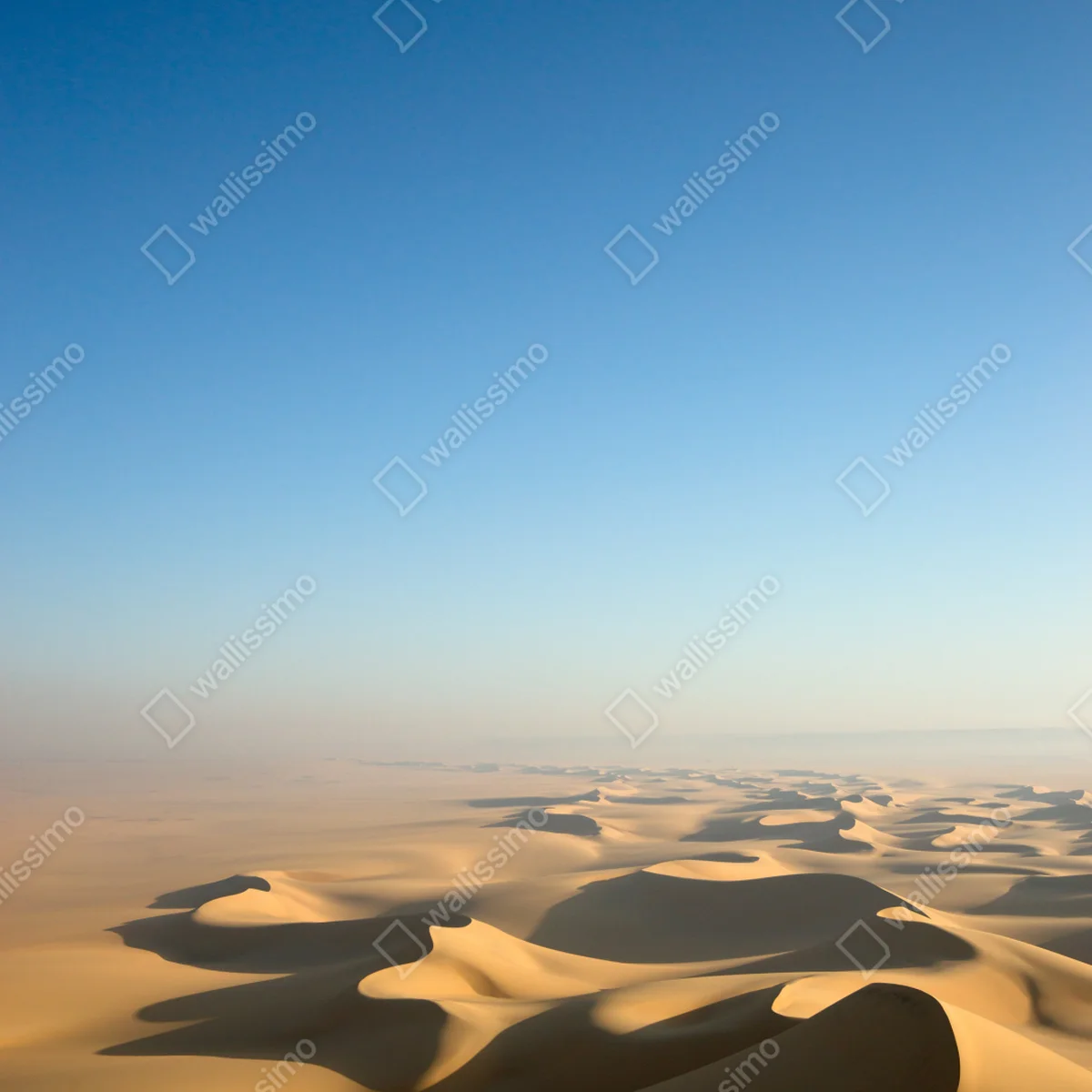 Poster endlose wüstendünen unter blauem himmel Poster endlose wüstendünen unter blauem himmel