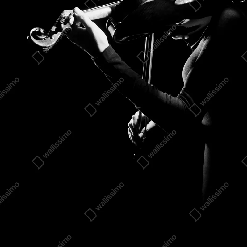 Poster elegante geigerin in silhouette Poster elegante geigerin in silhouette