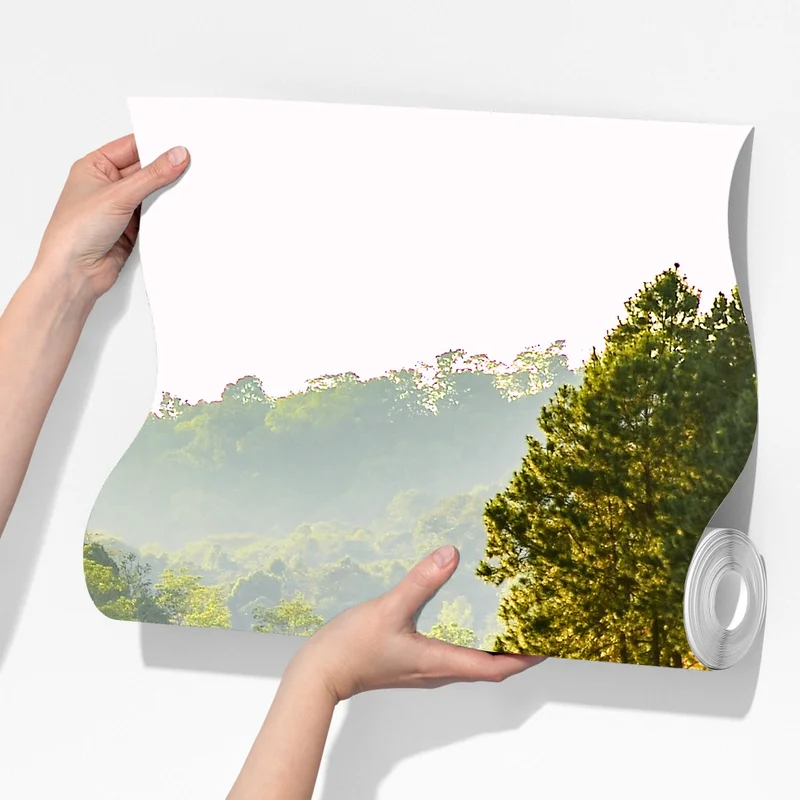 Fototapete ruhiger kiefernwald am stillen see Fototapete ruhiger kiefernwald am stillen see