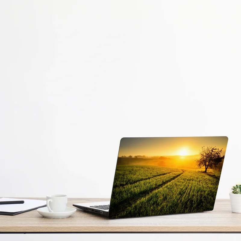 Laptop-Aufkleber sonnenbeschienene wiese im frühlicht