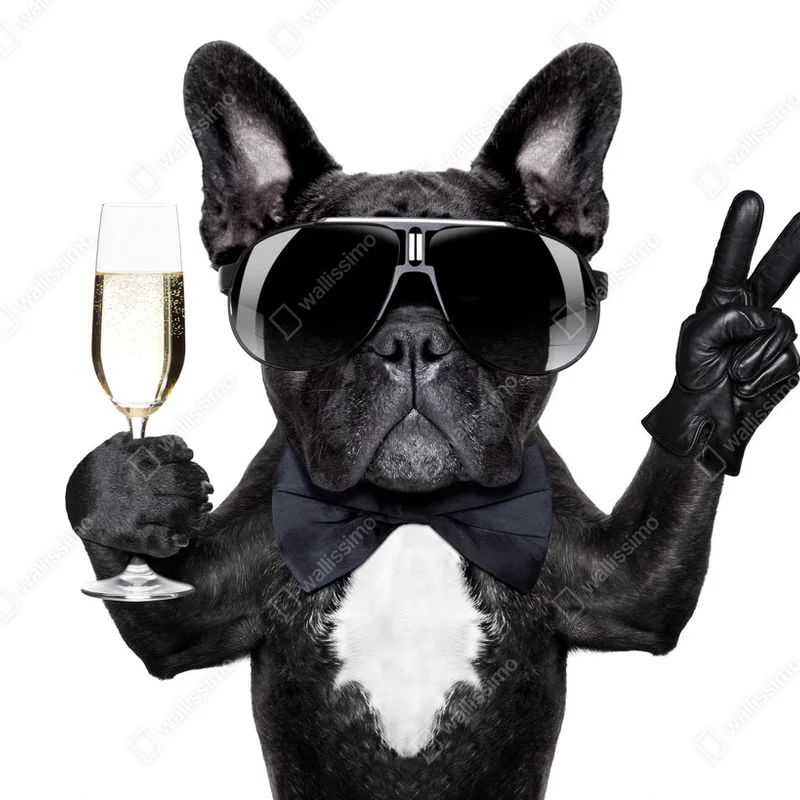 Leinwandbild Cocktailhund • Leinwandbilder bei Wallnifity® Leinwandbild Cocktailhund • Leinwandbilder bei Wallnifity®