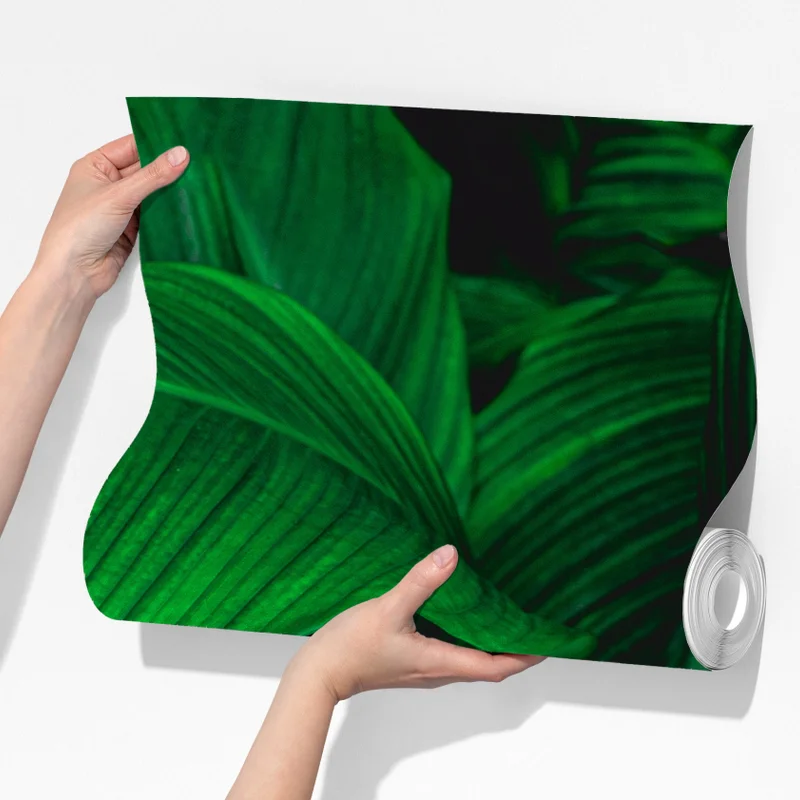 Fototapete üppige tropische blätter Fototapete üppige tropische blätter