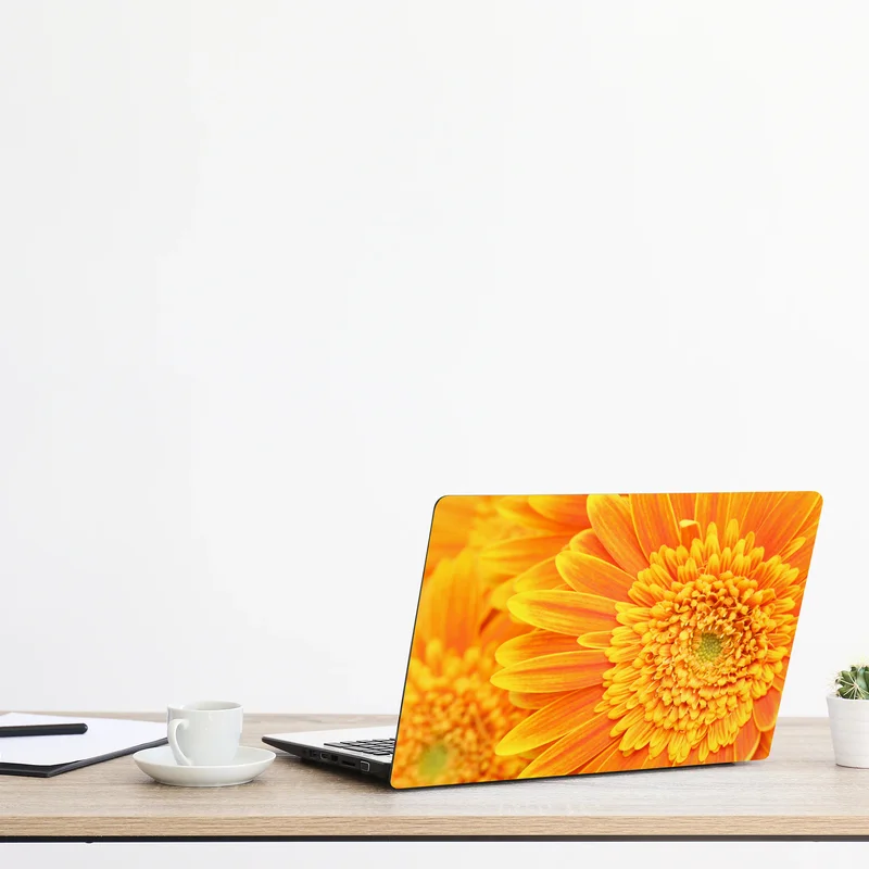 Naklejka na laptopa intensywna pomarańczowa gerbera z bliska Naklejka na laptopa intensywna pomarańczowa gerbera z bliska