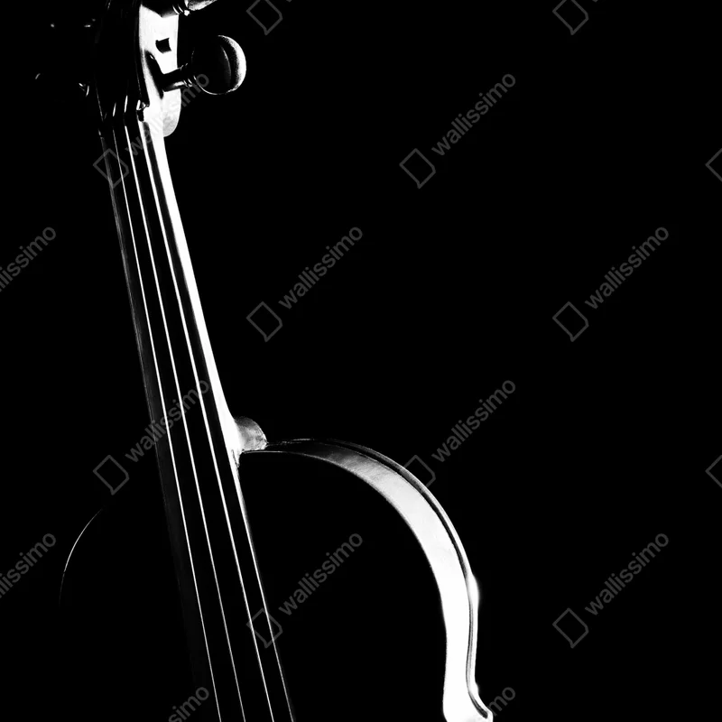 Poster elegante geigensilhouette auf schwarzem hintergrund Poster elegante geigensilhouette auf schwarzem hintergrund