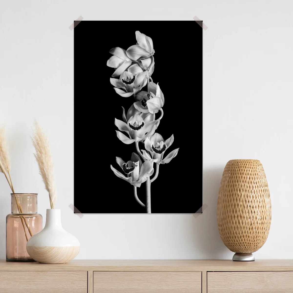 Poster eleganter monochromer orchideenstiel Poster eleganter monochromer orchideenstiel