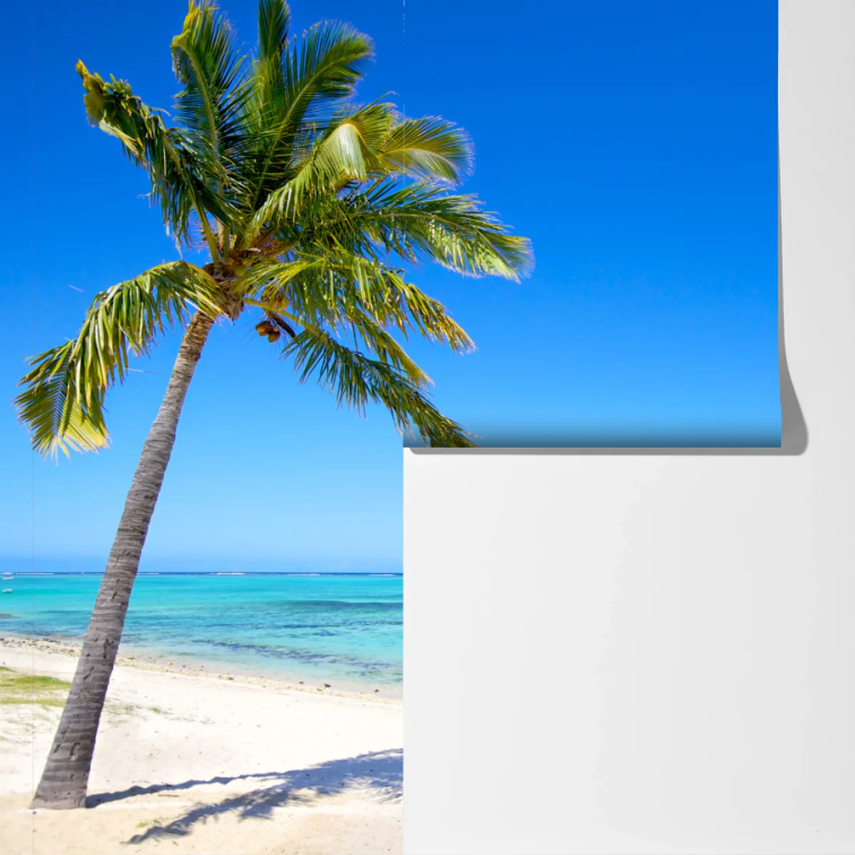 Fototapeta tropikalna plaża z palmą Fototapeta tropikalna plaża z palmą