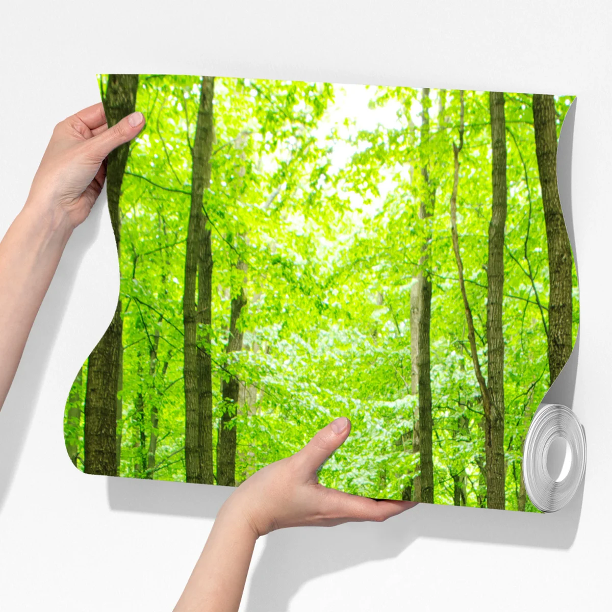 Fototapete ruhiger grüner waldweg Fototapete ruhiger grüner waldweg