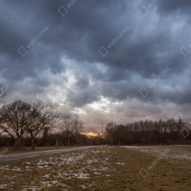 Poster Sonnenaufgang über frostiger Landschaft • Poster bei Wallnifity® Poster Sonnenaufgang über frostiger Landschaft • Poster bei Wallnifity®